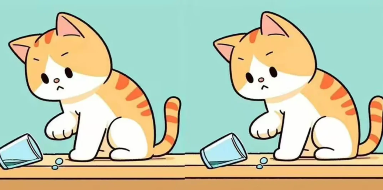 Визуальная головоломка "Найди отличия"