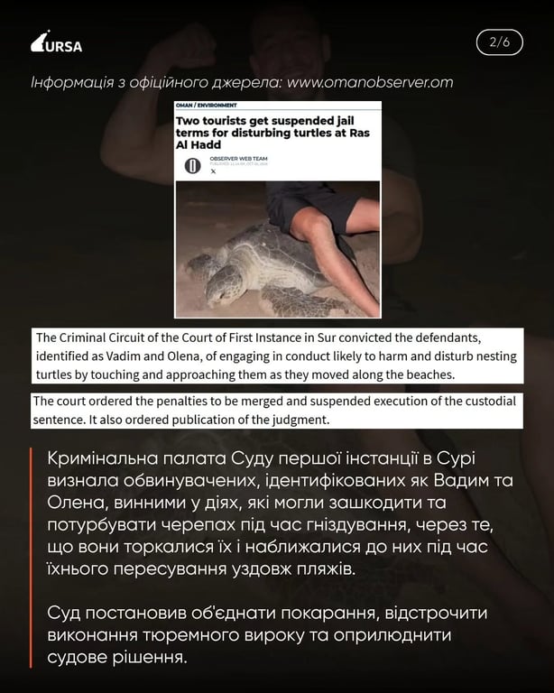 Украинского спортсмена осудили в Омане за жестокое обращение с черепахами - фото 3