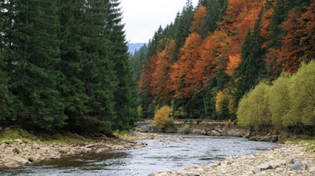 Грозят космические штрафы — что запрещено делать в Карпатах - 290x160