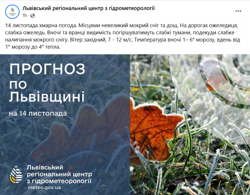 погода у Львові 14 листопада