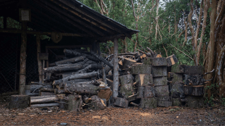 Запаси дров після зими — скільки часу можна зберігати - 285x160