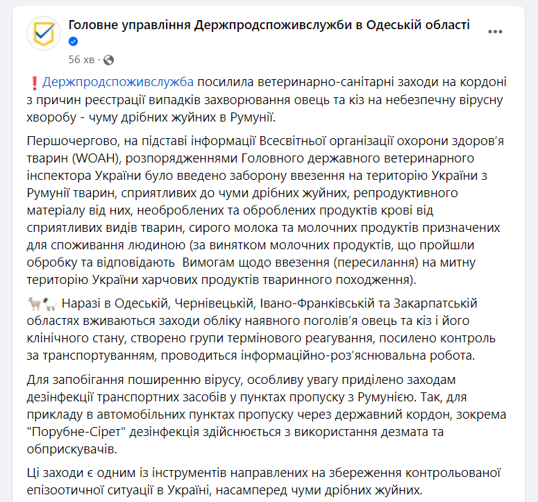 Чума животных в Румынии — меры безопасности на КПП Одесчины усилены - фото 1