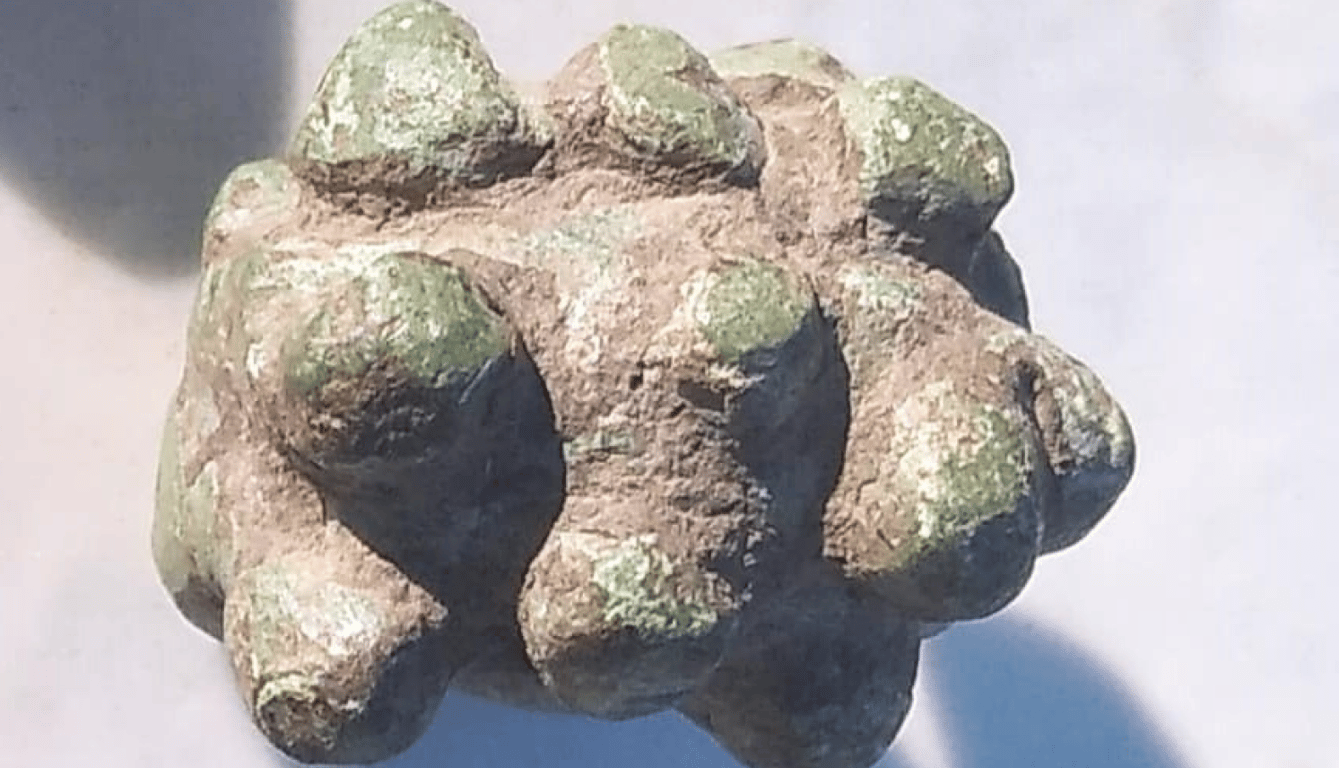 На Одесчине нашли деньги древних кельтов — как выглядят - фото 1