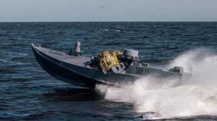 В Румынии в Черном море взорвали морской дрон Sea Baby - 285x160