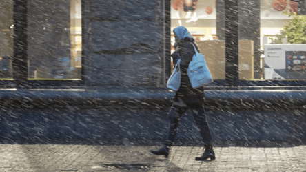 Украину накроет мощная непогода — народный синоптик Диденко рассказала, где будут дожди и снег - 285x160