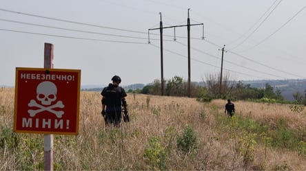 Розмінування Харківщини: за тиждень розчищено 103 гектари землі - 304x171