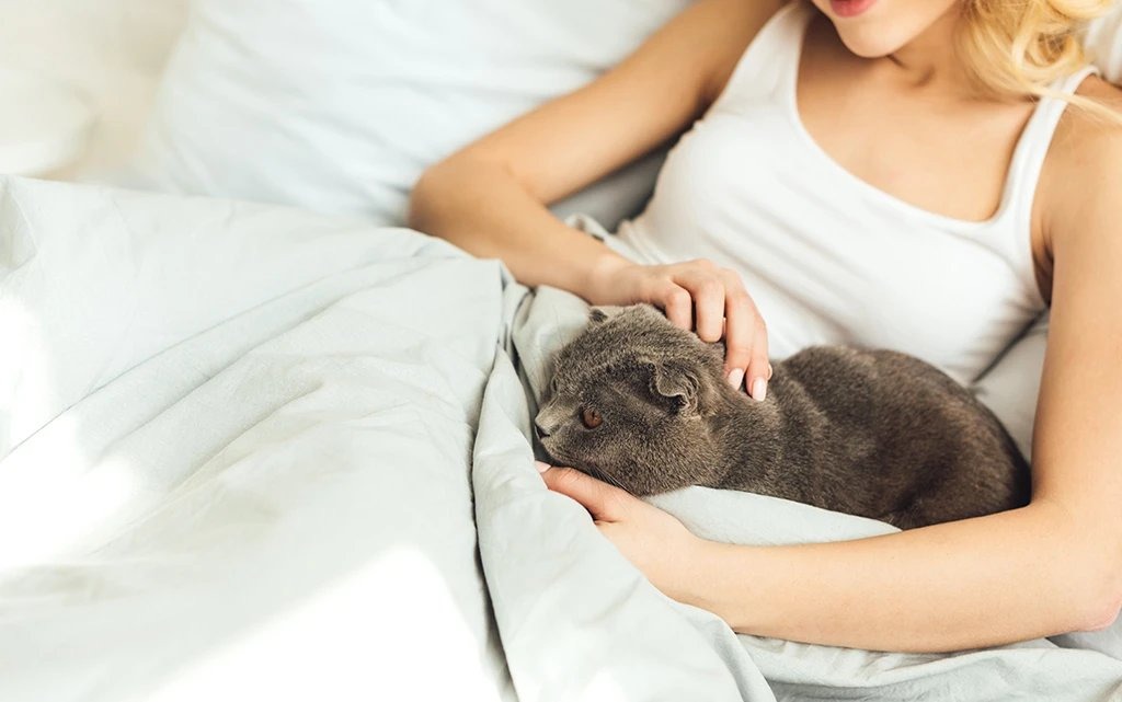 Кот на девушке