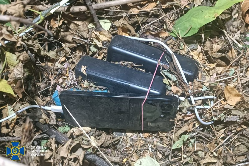 Агенты России задержания