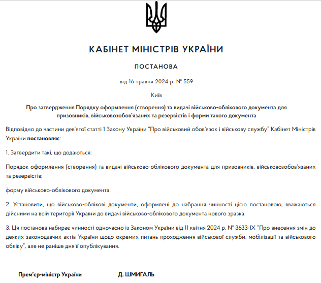 Кабмін затвердив нову форму військового квитка — яку інформацію міститиме документ - фото 1