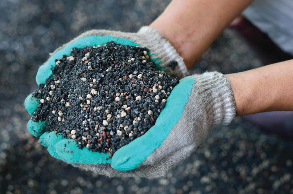 Чим підживити ґрунт після збору картоплі