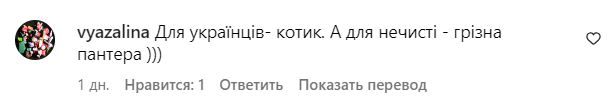 Коментар зі сторінки Маші Єфросиніної