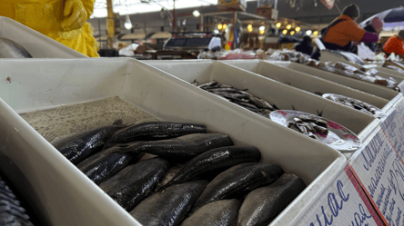 Риба в Одесі потроху дорожчає: ціни на Київському ринку - 290x166