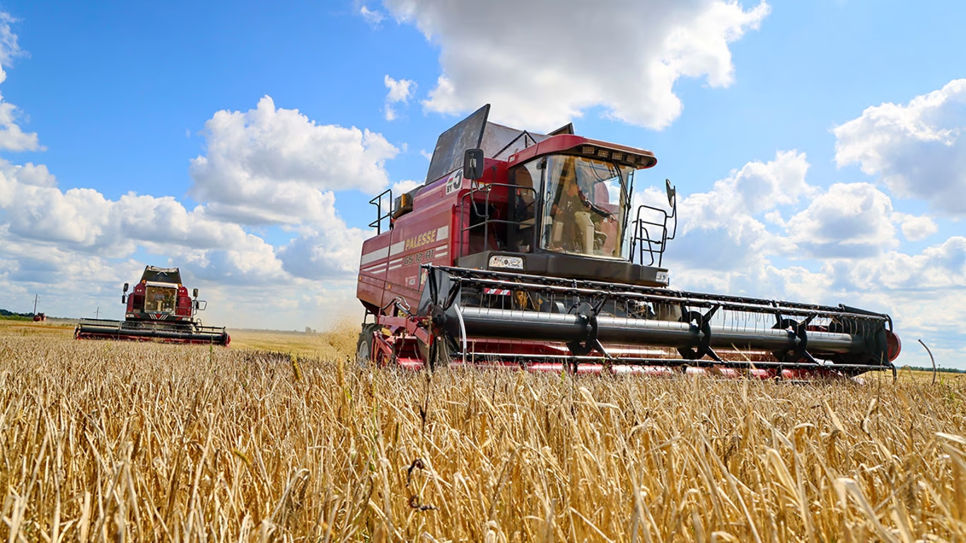 Ціни на зернові в Україні станом на 23 січня 2024