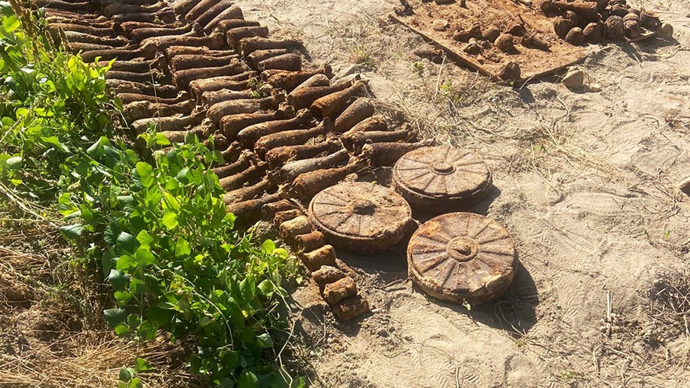 В Житомире женщина работала на огороде и откопала склад с минами и гранатами