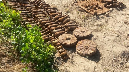 В Житомирі жінка працювала на городі і відкопала склад з мінами і гранатами - 285x160