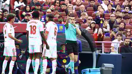 Матч Україна — Албанія обслужить скандальний арбітр Мануера - 290x166