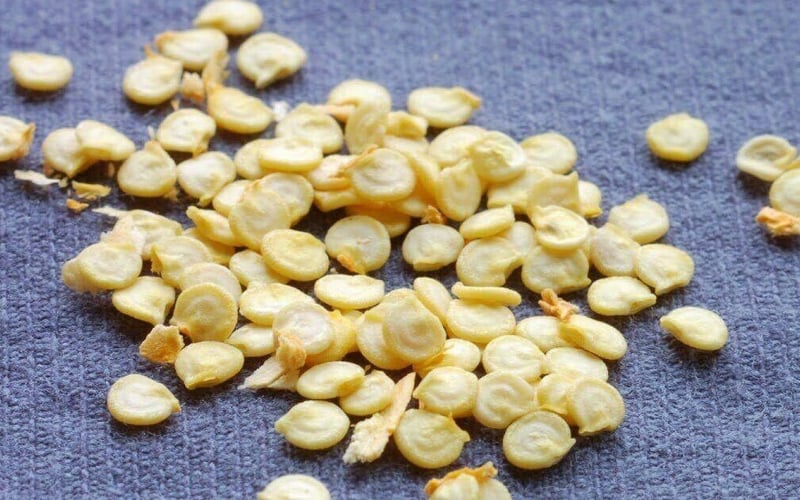 Семена баклажанов