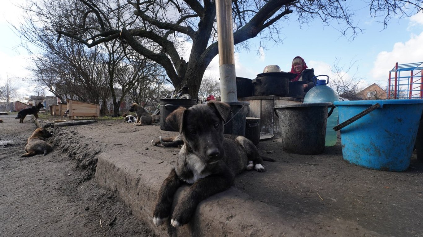 Харьковчанин нашел свою собаку, которая пропала более года назад