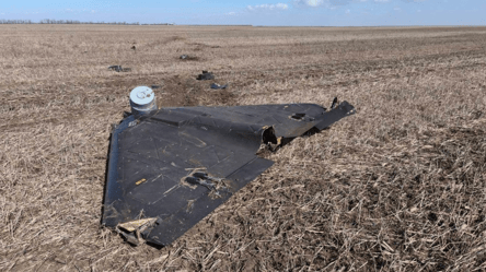 П’ять російських дронів упали в Молдові за добу: є постраждалий - 290x160