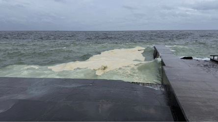 Олія на пляжах Одеси — катастрофа неминуча (фоторепортаж) - 290x166