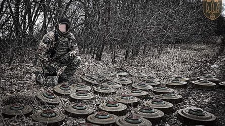 "Саперу потрібно бути уважним до деталей", — військовий ЗСУ розповів про розмінування територій  Харківської області - 285x160