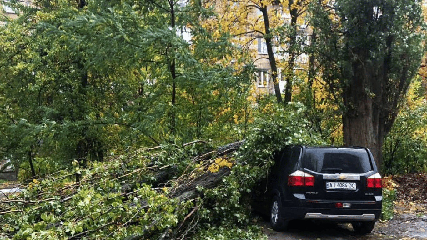 Поврежденные автомобили и разрушенные деревья — последствия мощного ветра в Киеве