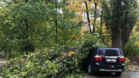 Поврежденные автомобили и разрушенные деревья — последствия мощного ветра в Киеве - 285x160