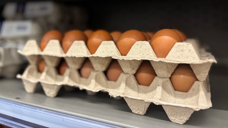 На яйця переписали ціни: скільки мають заплатити українці в супермаркетах - 285x160