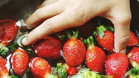 Как правильно отмыть ягоды от паразитов, бактерий и остатков пестицидов - 290x166