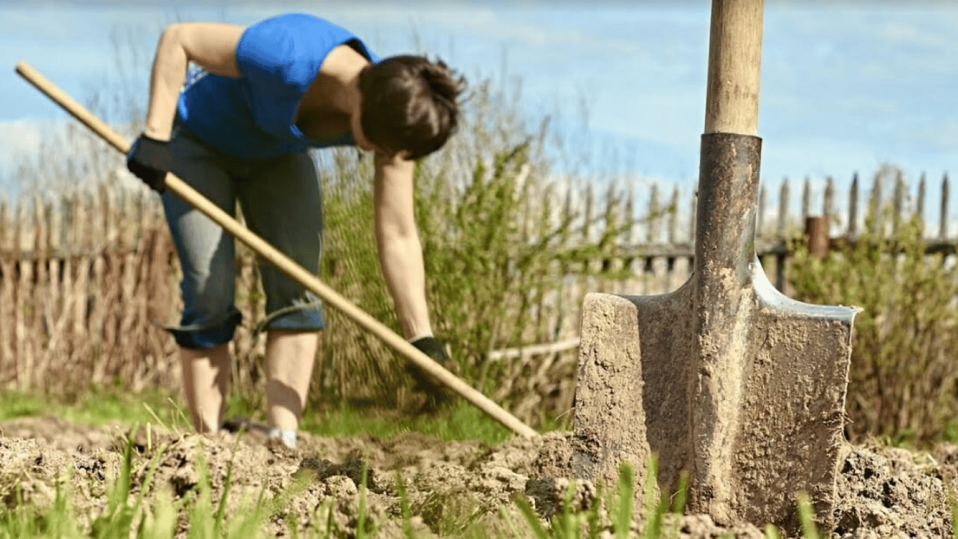 Страсний тиждень 2026: чи дозволено працювати на городі та в саду