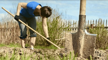 Страсний тиждень 2026: чи дозволено працювати на городі та в саду - 285x160