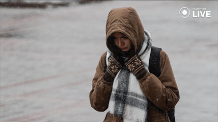 В Украине ударят сильные морозы — в Укргидрометцентре назвали области, где будет до -8 °C - 285x160