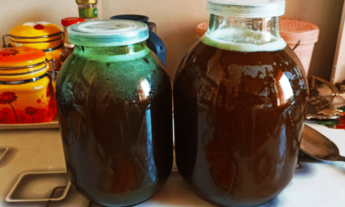 Квас з цикорієм - спосіб приготування вдома