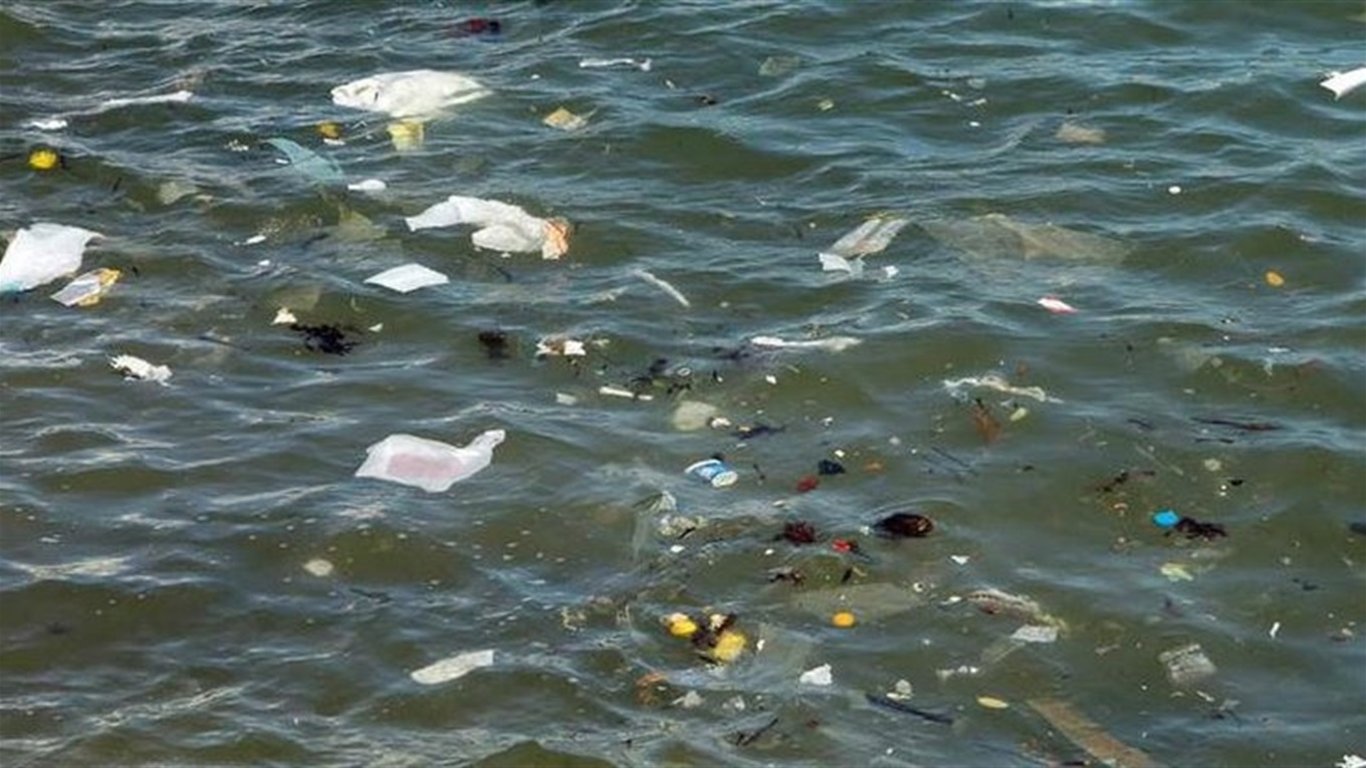 В Чорному морі зафіксували велику кількість сміття: відео