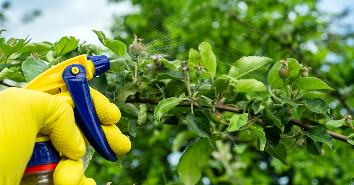 Обработка растений