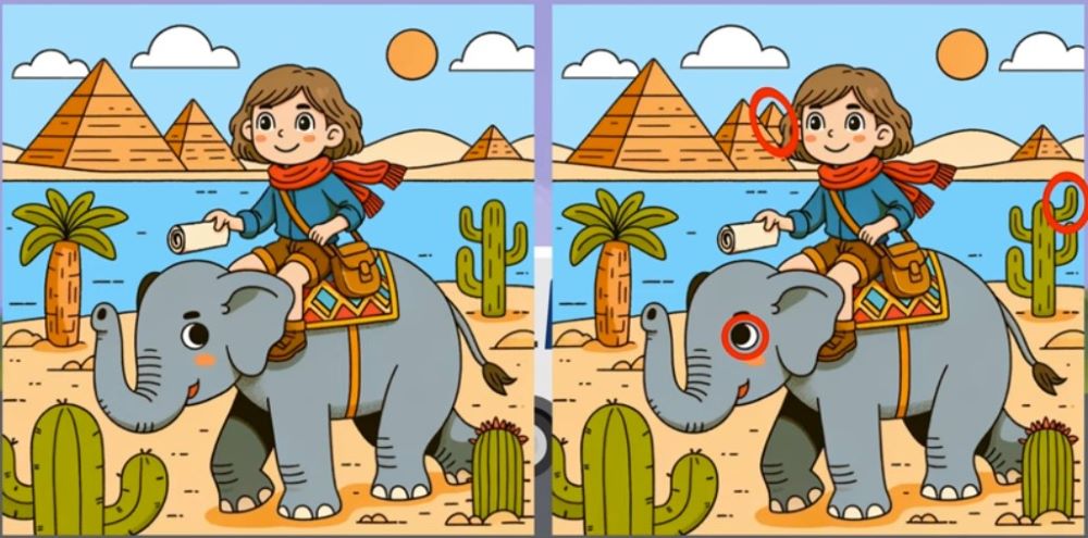 Слона не помітити важко, але потрібно знайти три відмінності за 12 секунд - фото 2