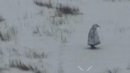 Росіяни вигадали новий спосіб маскування — деталі від військового - 290x160