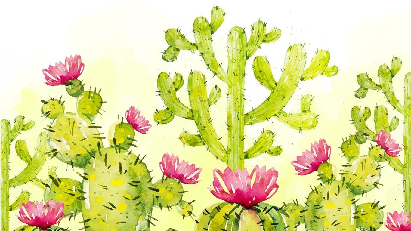 Тест-рисунок: что изображение кактуса расскажет о вашем характере