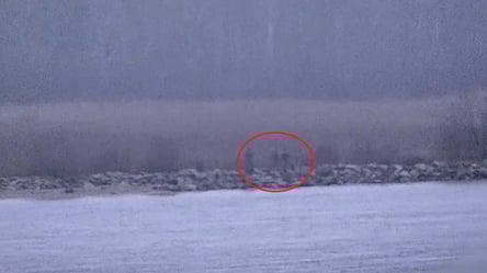 Эстония заявила о нарушении границы российскими пограничниками - 290x160