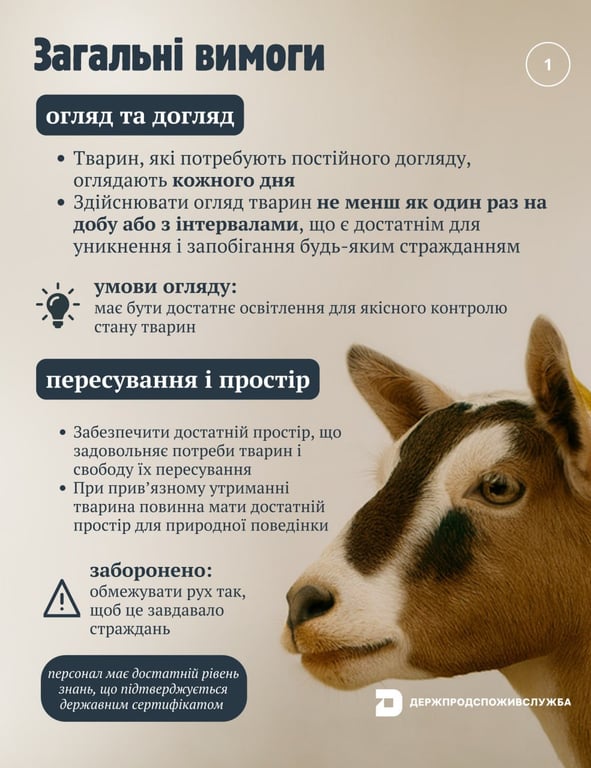 Нові правила утримання тварин