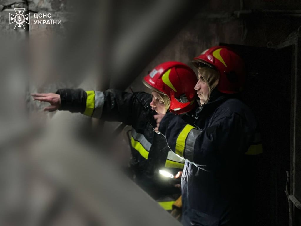 Рятувальники ДСНС. Фото: ДСНС