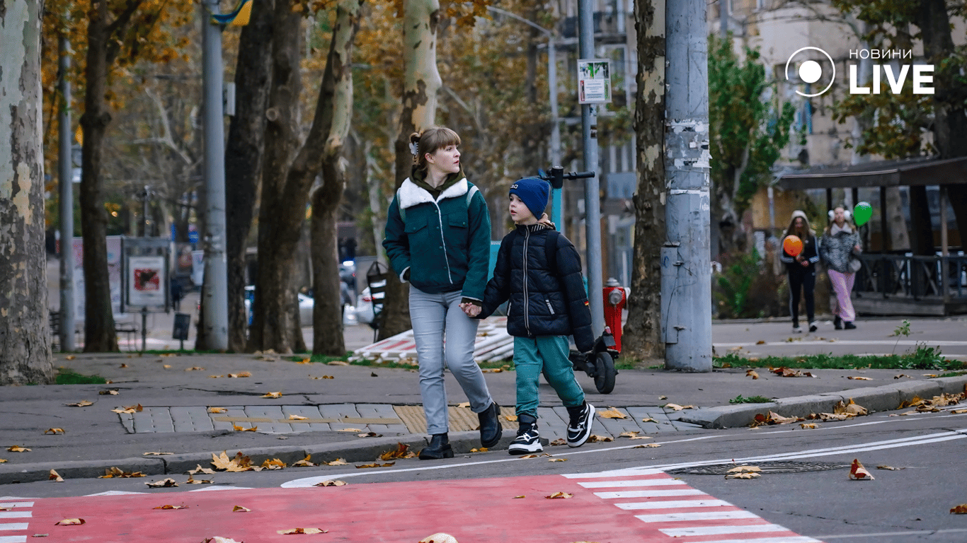 Женщина с ребенком переходит дорогу. Фото: Новости.LIVE/ Юлия Браславская