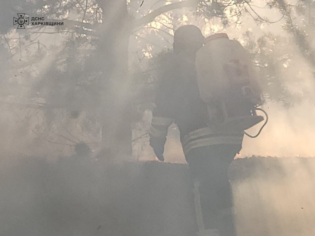 пожежа лісу через обстріл РФ 1 травня