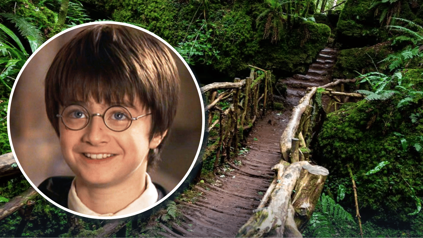 Где расположен старинный лес, в котором снимали "Звездные войны" и "Гарри Поттера"