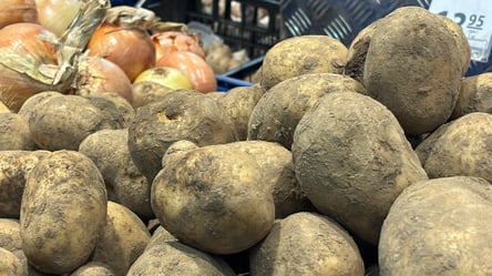 Пора делать запасы на зиму — что происходит с ценами на картофель - 285x160