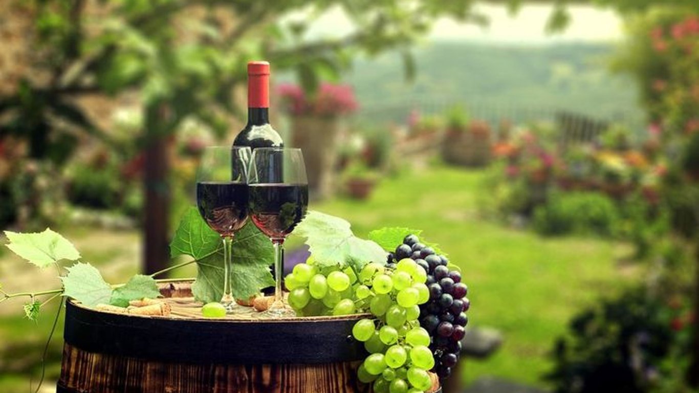 В Одесской области планируют создать винный кластер