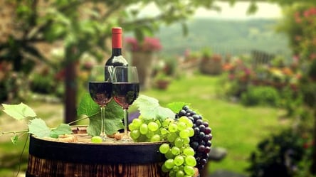 На Одещині планують створити винний кластер: деталі - 285x160