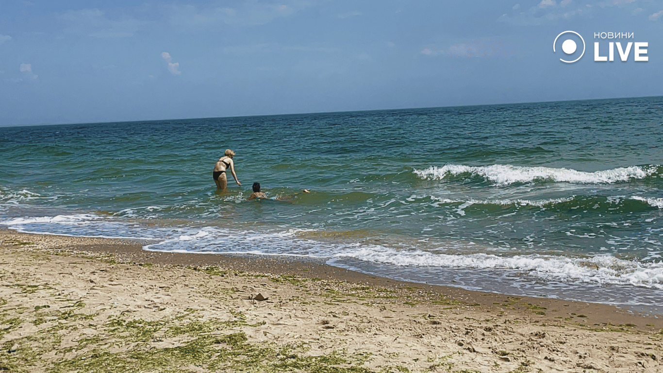 Ціни в Грибівці на Одещині знизились - вартість у вересні - фото 2