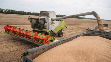 Ціни на зерно — яка вартість за тонну пшениці - 285x160