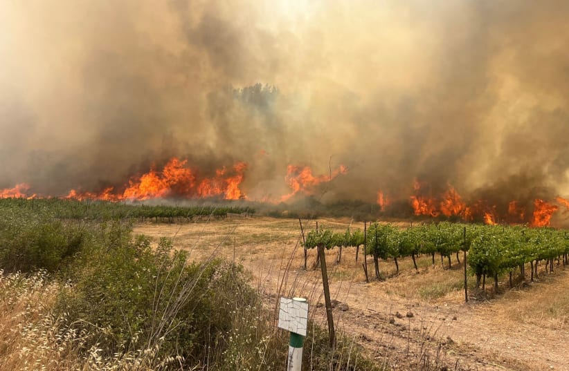 В Ізраїлі вирують нищівні пожежі — які наслідки - фото 1